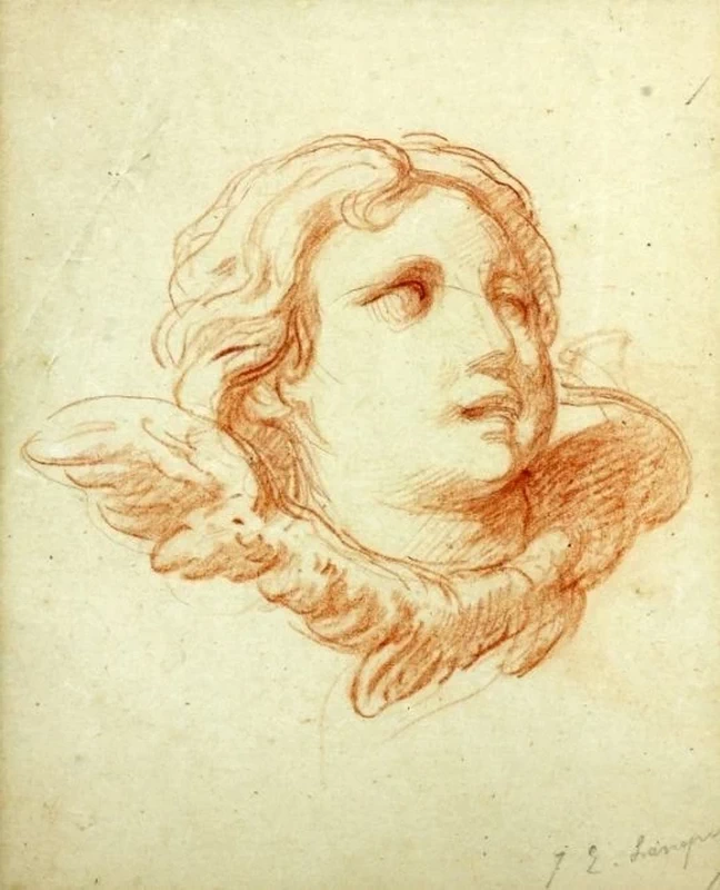 Testa d'angelo